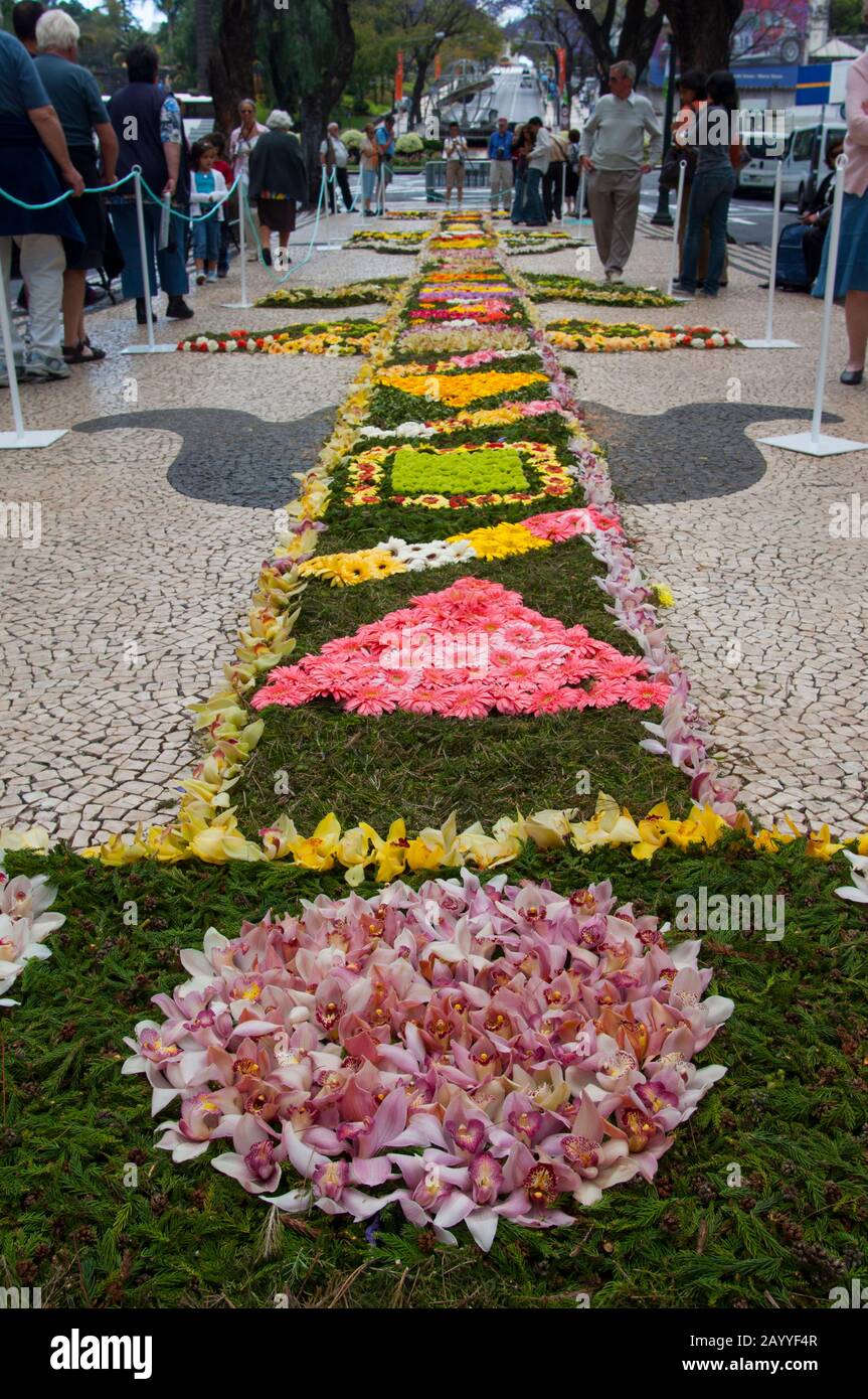 Splendidi mosaici floreali sui marciapiedi della città di Funchal sull'isola portoghese di Madeira durante l'annuale festa dei fiori. Foto Stock