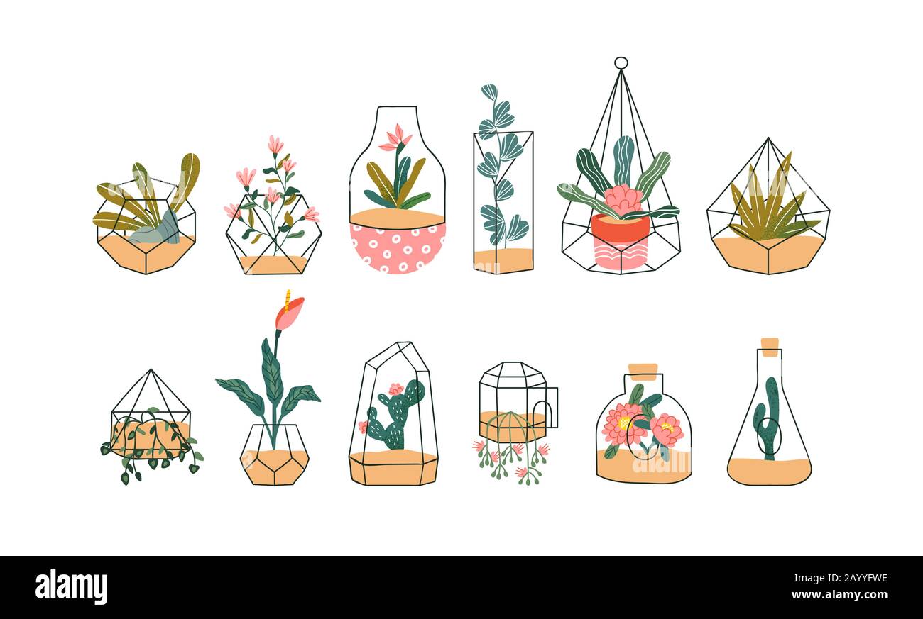 Set di graziosi terrarium di vetro con esotica pianta di casa tropicale su sfondo bianco isolato. Le piante di primavera disegnate a mano includono cactus, rosa e fiore dr Illustrazione Vettoriale