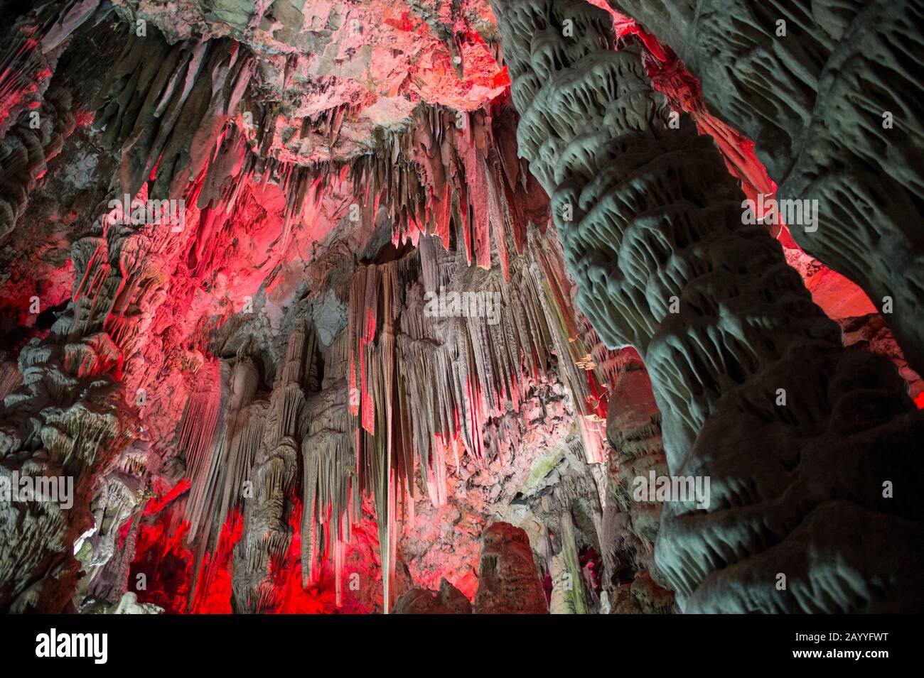 Luci colorate illuminano le stalattiti e stalagmiti nella Grotta di San Michele, una rete di grotte calcaree situate all'interno della Upper Rock Natur Foto Stock