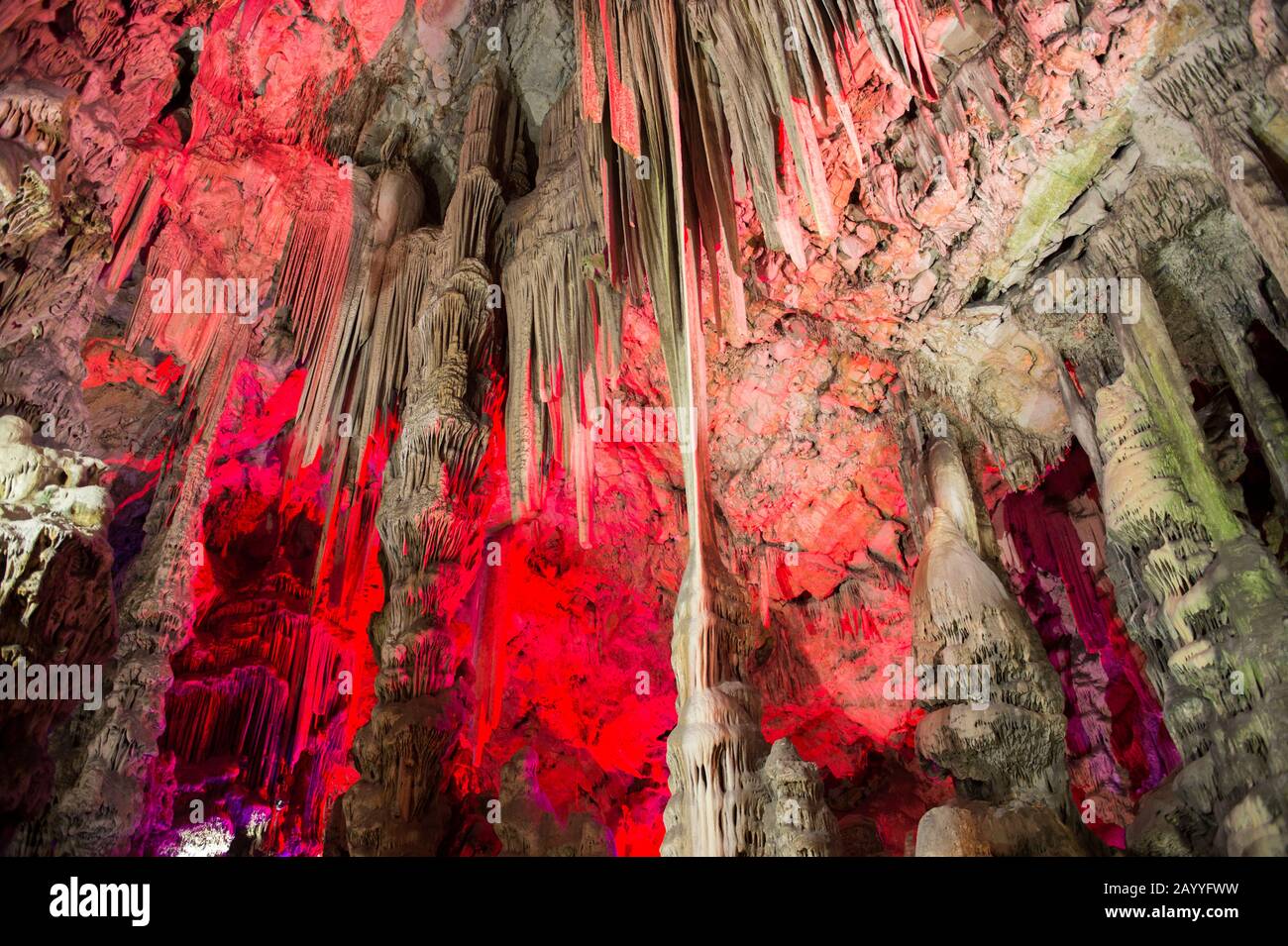Luci colorate illuminano le stalattiti e stalagmiti nella Grotta di San Michele, una rete di grotte calcaree situate all'interno della Upper Rock Natur Foto Stock