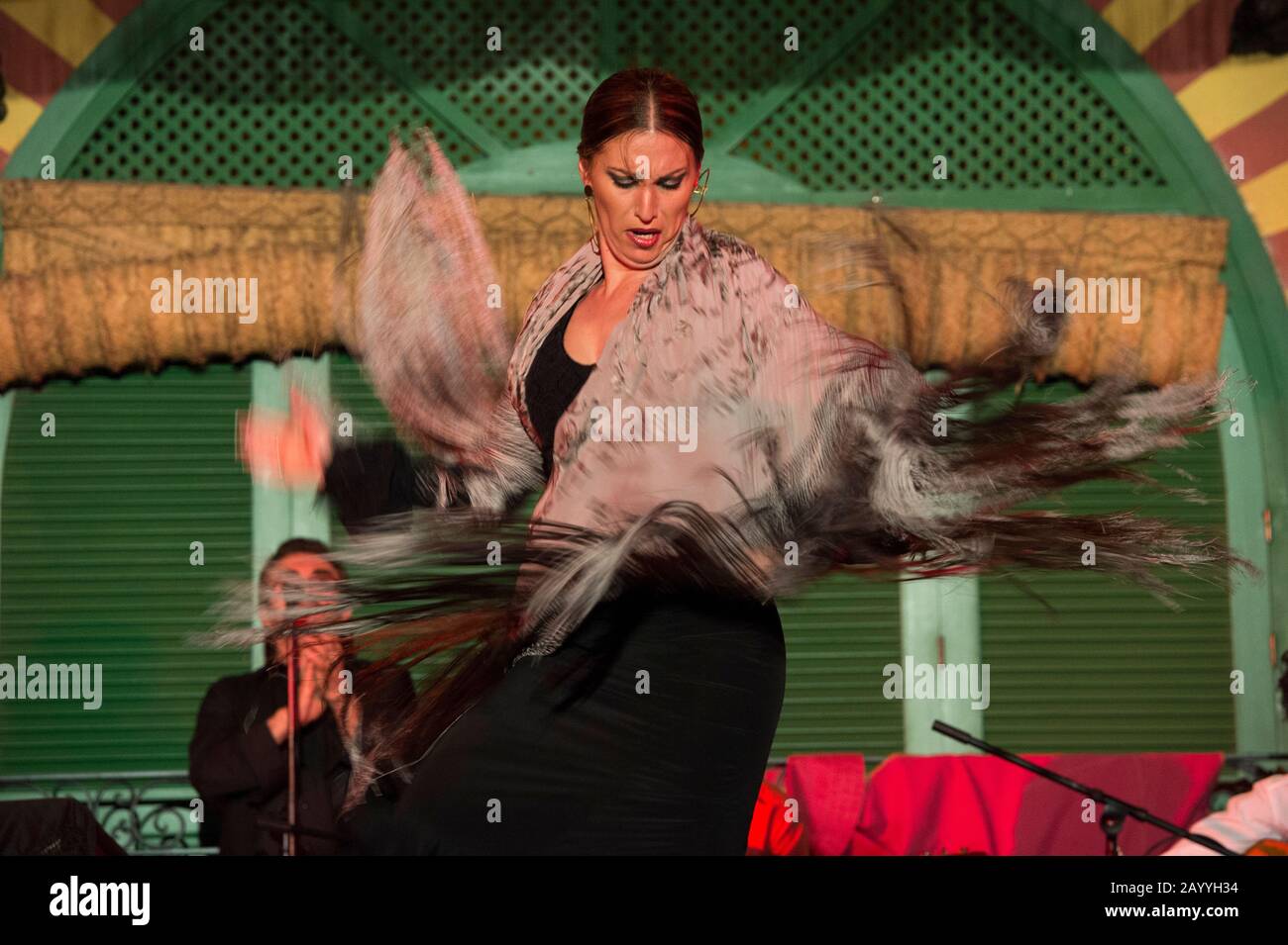 Ballerini e musicisti che suonano il Flamenco, una forma di musica folk spagnola e danza, durante uno spettacolo di cena a Siviglia, Andalusia, Spagna. Foto Stock