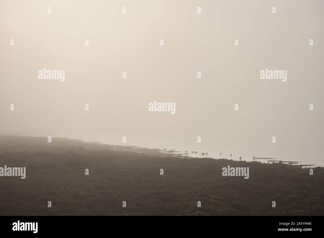 Una costa avvolta da nebbia si affievolisce nella nebbia. Foto Stock