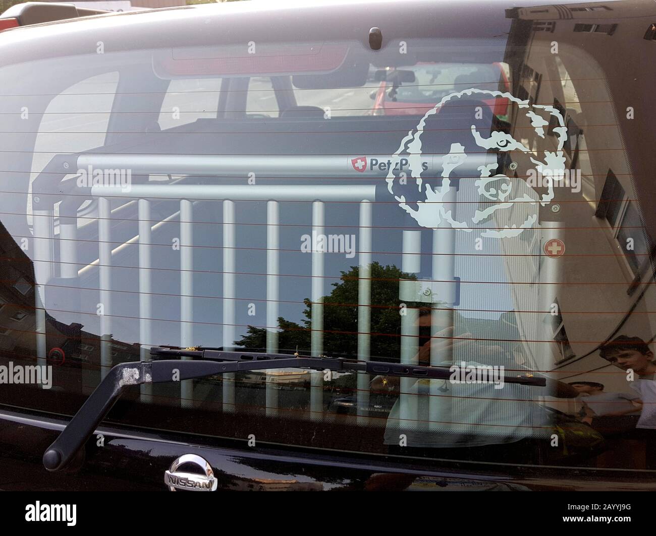 Auto con scatola per il trasporto di cani e autoadesivo per cani, Germania Foto Stock