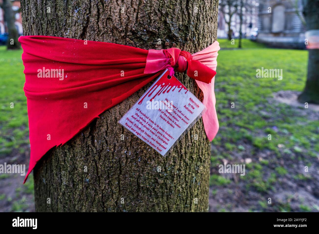 HS2 Tree Protest Scarves ha messo in giro gli alberi in protesta per la loro imminente distruzione a Euston Square Gardens nel centro di Londra per lo sviluppo HS2 Foto Stock