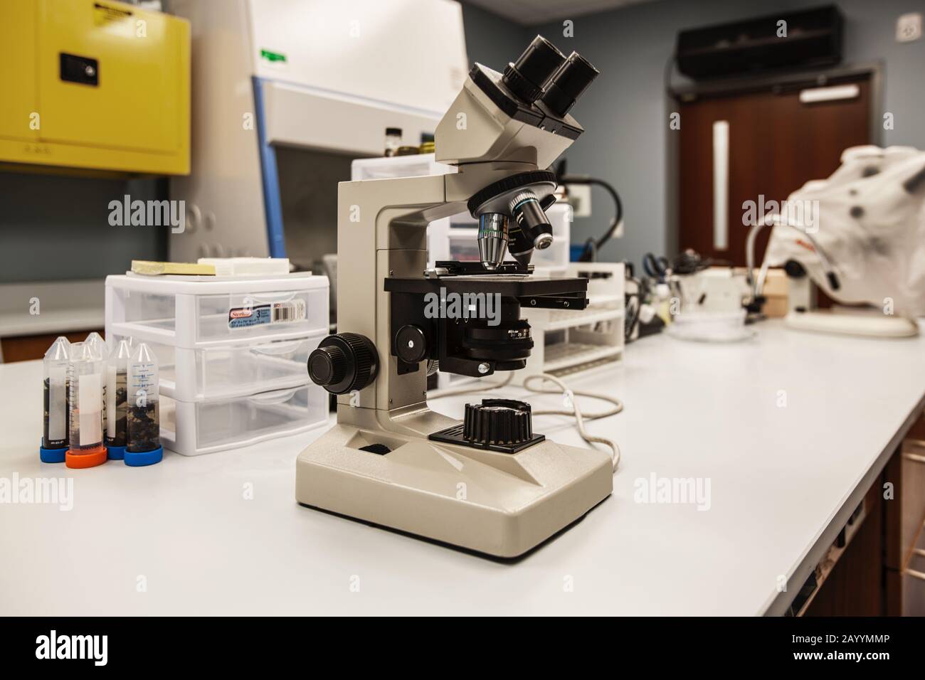 Un microscopio in un laboratorio di biologia Foto Stock