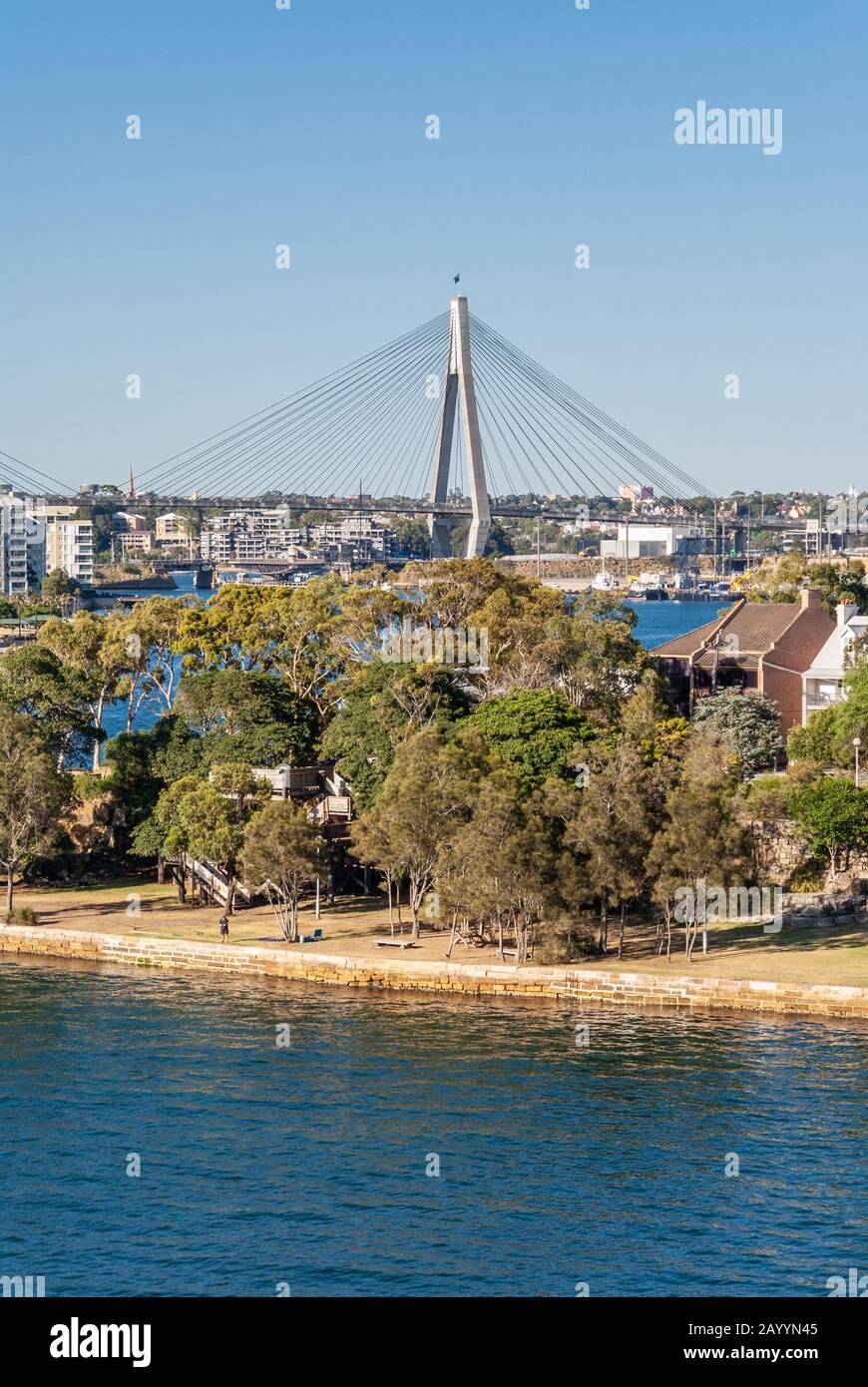 Sydney, Australia - 11 dicembre 2009: Alta torre di sospensione del ponte Anzac dietro Jones Bay, albero verde, acqua blu profondo e sotto cielo azzurro chiaro. D Foto Stock