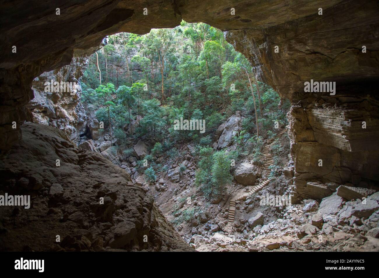 Grotta di calcare Nella Riserva di Ankarana nel Madagascar settentrionale. Foto Stock