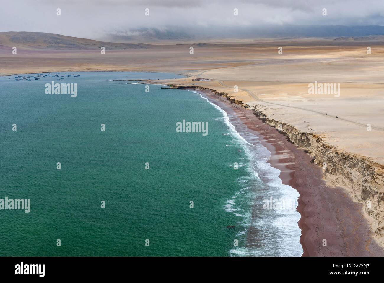 La costa del Parco Nazionale Paracas in Perù. Foto Stock