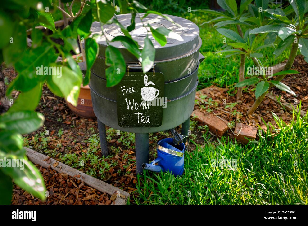 Vista dall'alto della fattoria di verme contenitore di compost in giardino australiano organico con segno per tè Worm libero, vita sostenibile e zero rifiuti di stile di vita Foto Stock