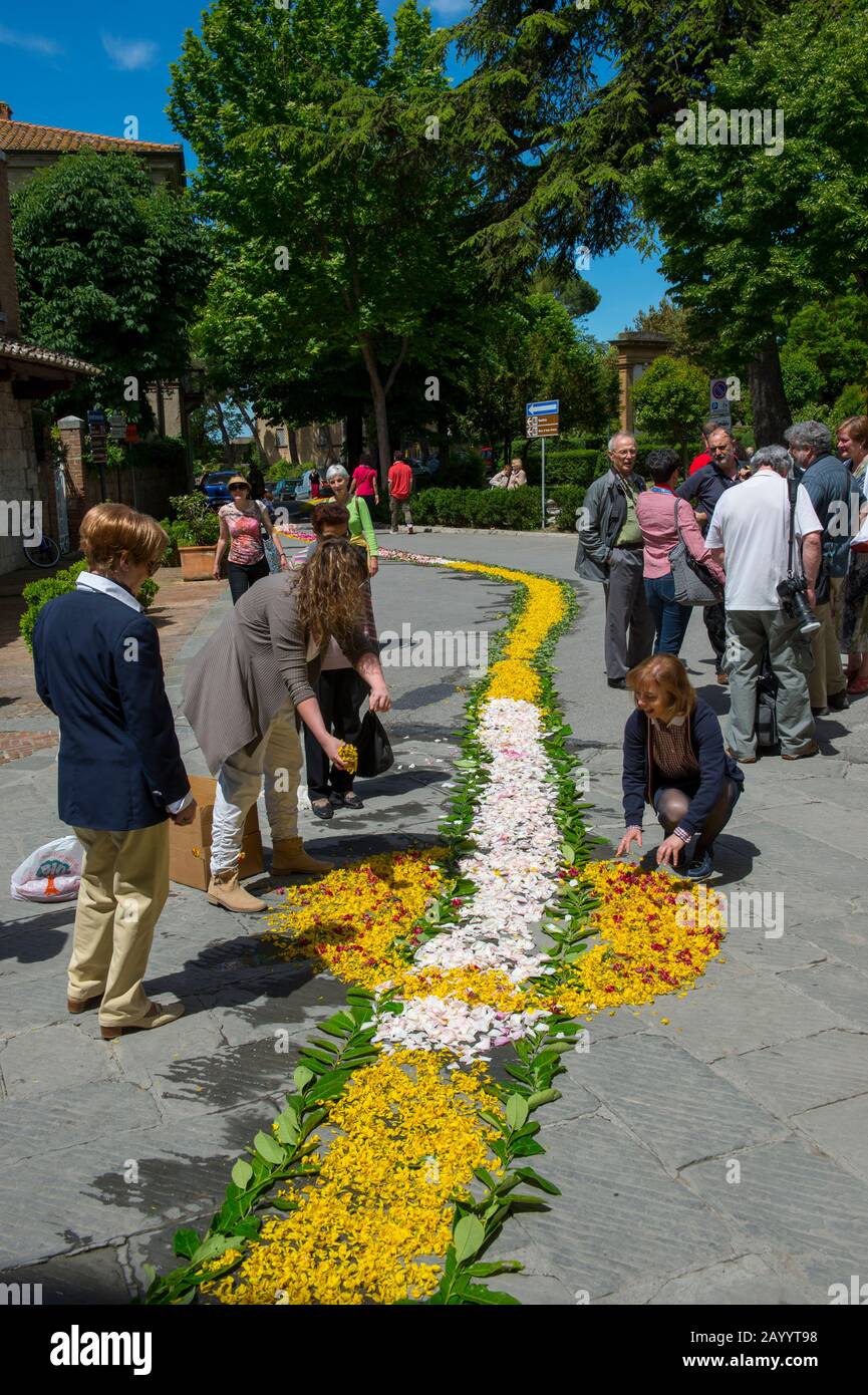 Persone che decorano la strada con fiori per la processione del Corpus Domini, un'osservanza cattolica che onora la Santa Eucaristia, a Pienza, in Val Foto Stock