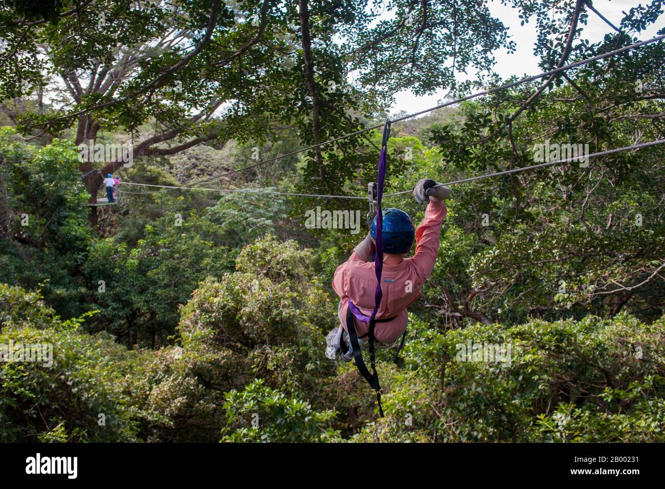 I turisti sfrecciano attraverso il baldacchino della foresta pluviale nella zona di Rincón de la Vieja, nella Costa Rica nord-occidentale. Foto Stock