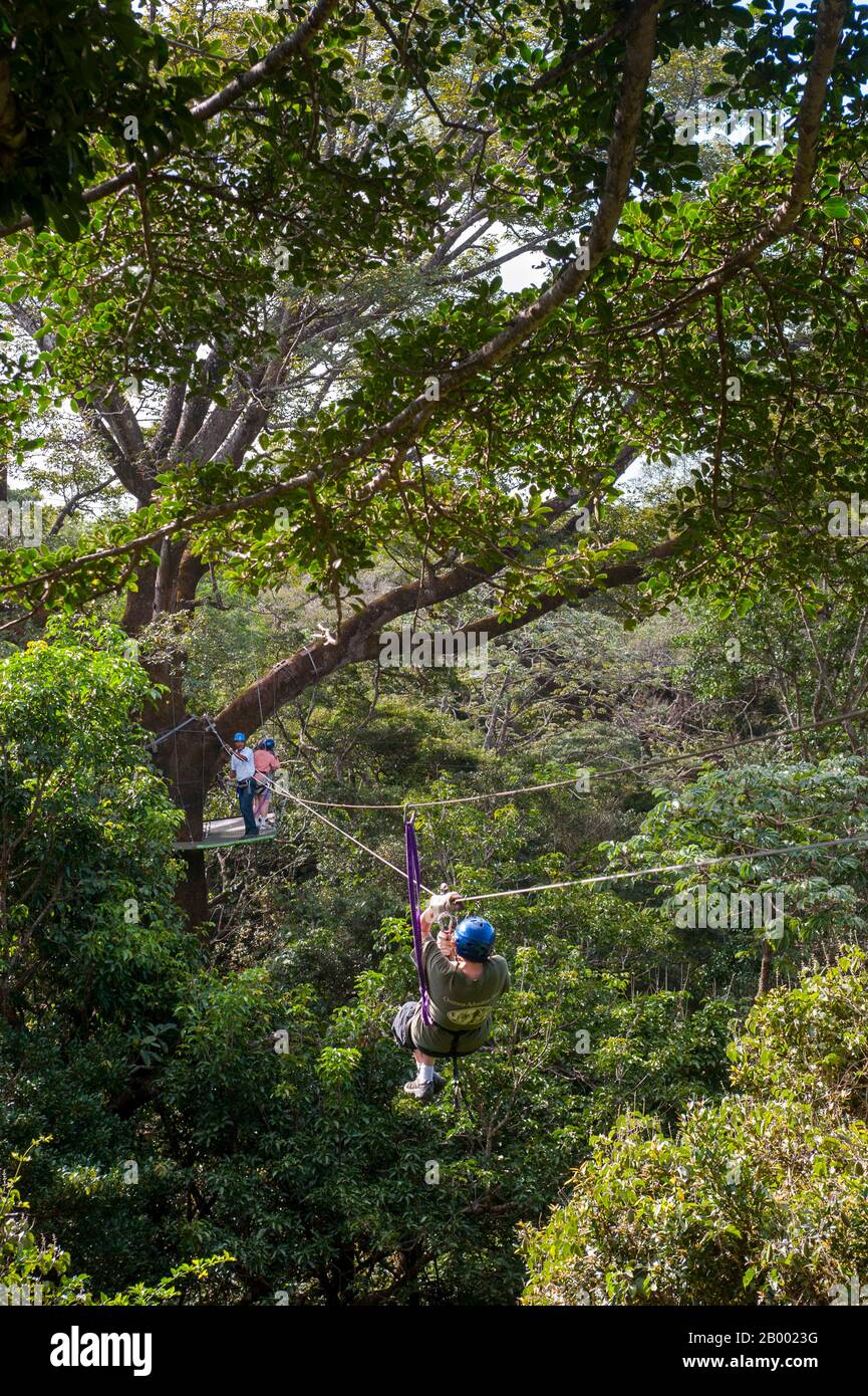 I turisti sfrecciano attraverso il baldacchino della foresta pluviale nella zona di Rincón de la Vieja, nella Costa Rica nord-occidentale. Foto Stock