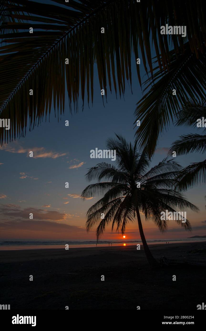 Un tramonto sull'Oceano Pacifico con palme da cocco dalle sagome su una spiaggia presso il Monterey del Mar Hotel vicino Jaco in Costa Rica. Foto Stock