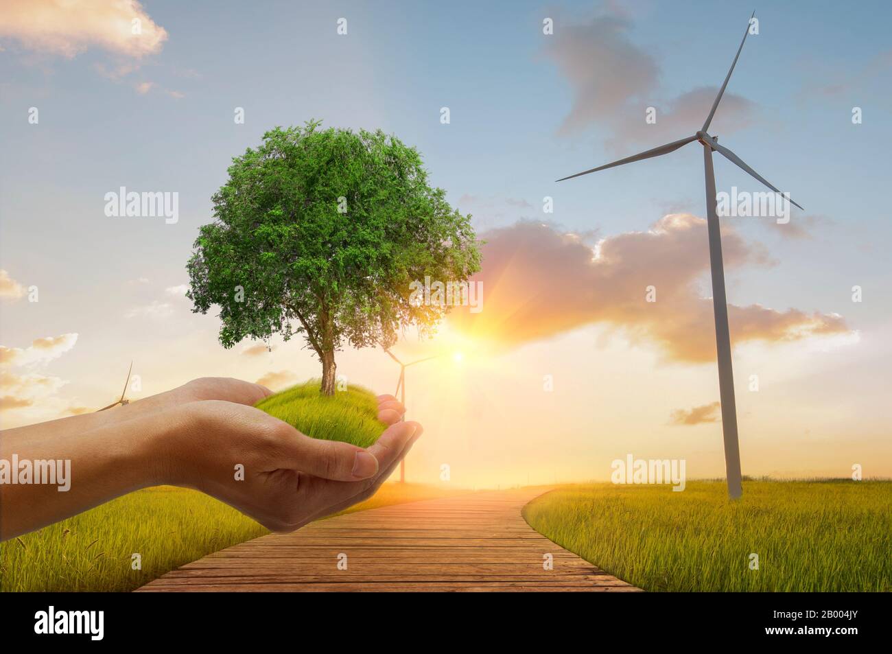 Un piccolo albero verde in mano, pronto a piantare. Concetto di energia verde. Turbine eoliche e ponti in legno con sfondo verde e tramonto. Foto Stock