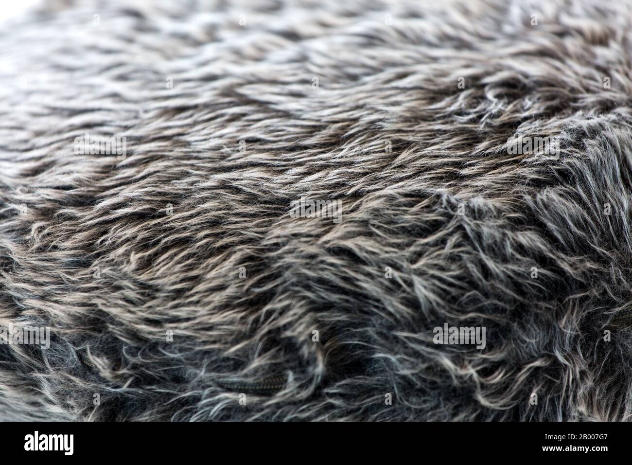Primo piano di un prodotto ricoperto di pelliccia come tessuto Foto Stock