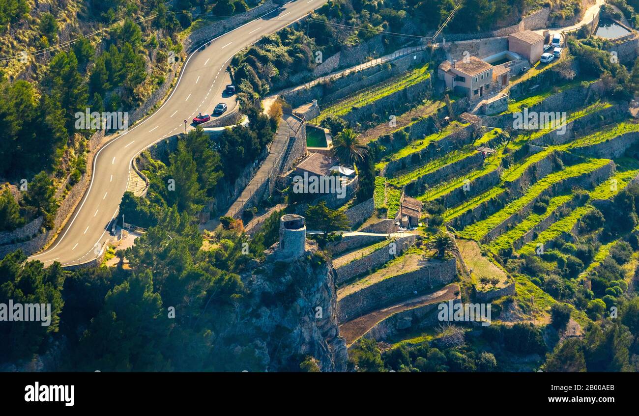 Veduta aerea, Torre Ruin Torre des Verger, paesaggio terrazzato, Mallorca, Spagna, Europa, Isole Baleari, punto di vista, Castello Ruin, ES, rocce, strada, Traves Foto Stock