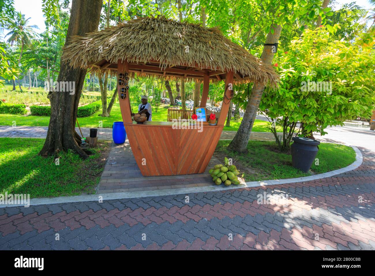 Tender stallo di cocco in un resort tropicale Foto Stock