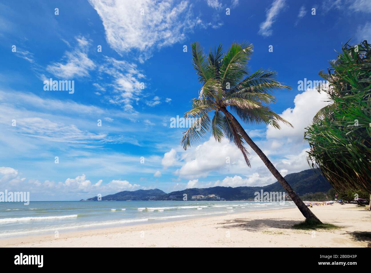 Vista sulla natura di una bella spiaggia tropicale estiva con palme intorno a Patong, isola di Phuket, Thailandia. Vacanza e vacanza per il concetto di stagione estiva Foto Stock