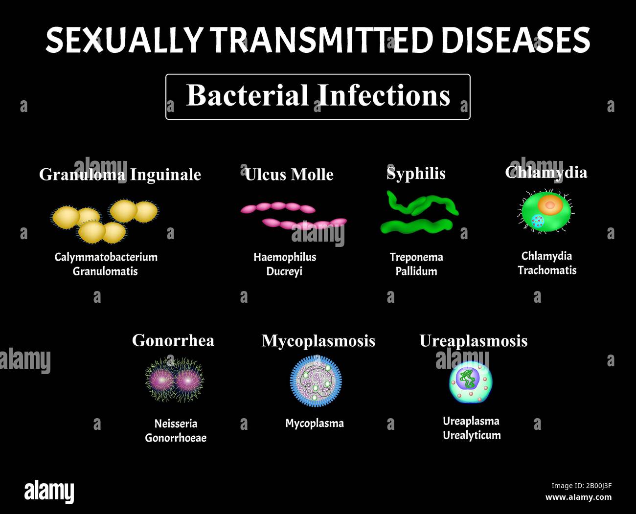 Sifilide, Spirochaete, Treponema, Gonococcus, Gonorrea, Clamidiosi, Clamidia, Mycoplasma, Set Di Infezioni Batteriche Ureaplasma. Trasmissione sessuale Illustrazione Vettoriale