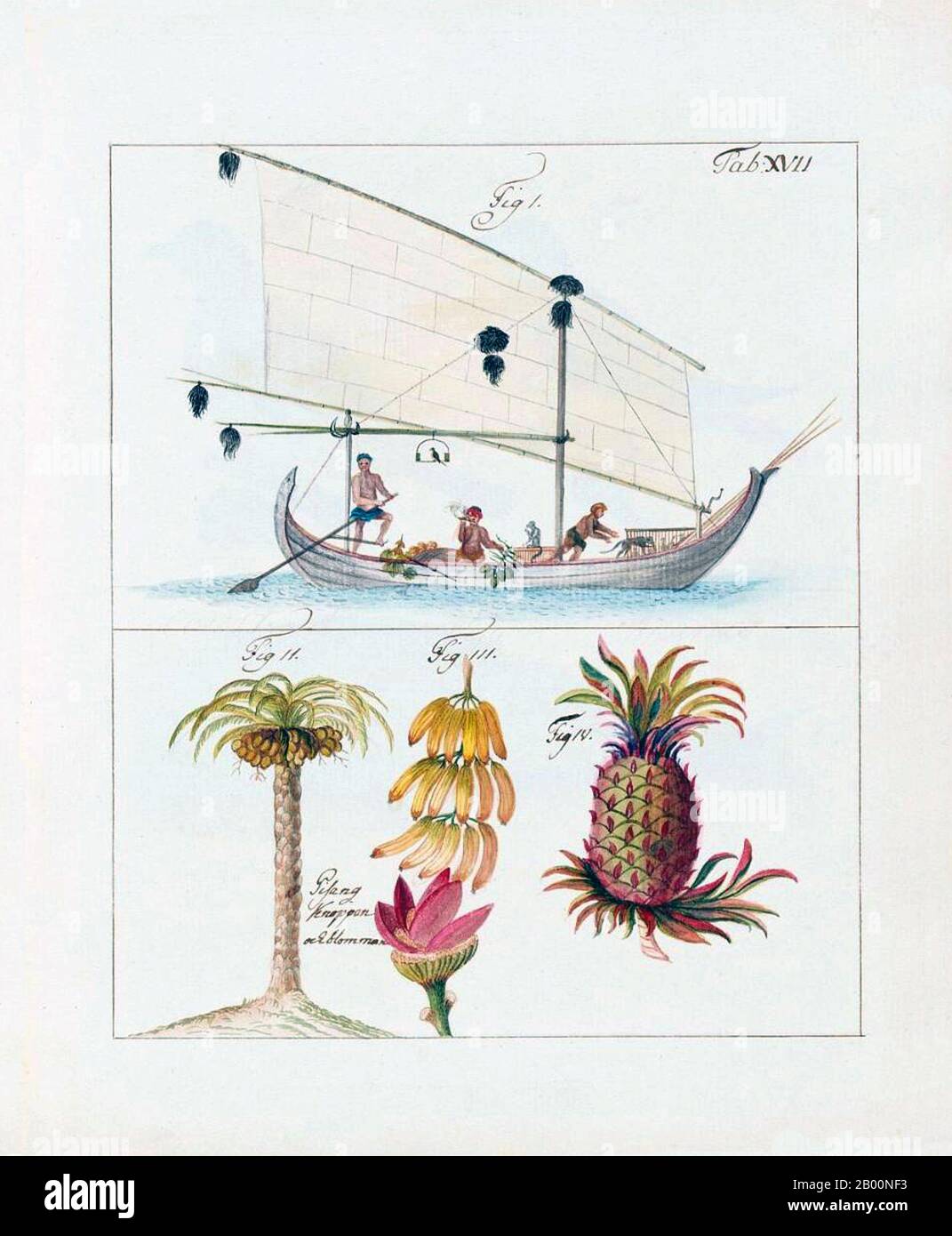Cina: Immagini dalla compagnia svedese dell'India orientale del 1746 - imbarcazione locale che vende una varietà di frutta. Immagine dal diario di Carl Johan Gethe, cartografo a bordo del Gotha Leyon, che ha lasciato la Svezia in una spedizione commerciale di tre anni nel 1746. Il diario di Gethe o Dagbok è intitolato: Dagbok hallen pa resan till Ost Indien begynt den 18 octobr: 1746 och slutad den 20 juni 1749 o ‘Diario di un viaggio verso l'India orientale iniziato il 18 ottobre 1746 e terminato il 20 giugno 1749’. La SOIC (Swedish East India Company) è stata fondata a Goteborg, Svezia, nel 1731, allo scopo di operare con l'Estremo Oriente. Foto Stock