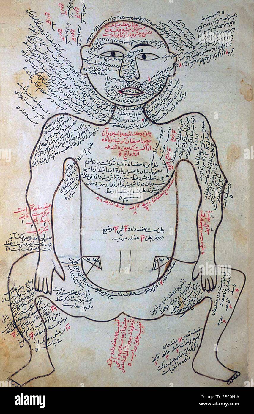 Persia / Iran: 15 ° secolo disegno anatomico dal Tashrīḥ-i badan-i insān. Manṣūr ibn Muḥammad ibn Aḥmad, Tashrīḥ-i badan-i insān ('Anatomia del corpo umano'). Manoscritto persiano, copia non datata; aspetto di carta, scrittura a mano, inchiostro, illustrazioni, ecc. suggeriscono ca. Fine 15 ° o molto inizio 16 ° secolo. Foto Stock