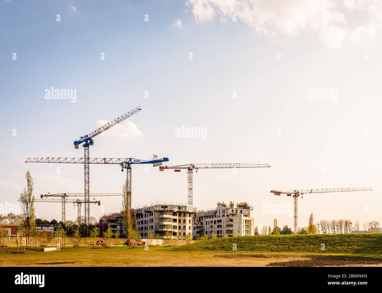 Un cantiere con due edifici in cemento in costruzione e sei grandi gru a torre accanto a un parco pubblico alla fine del pomeriggio. Foto Stock