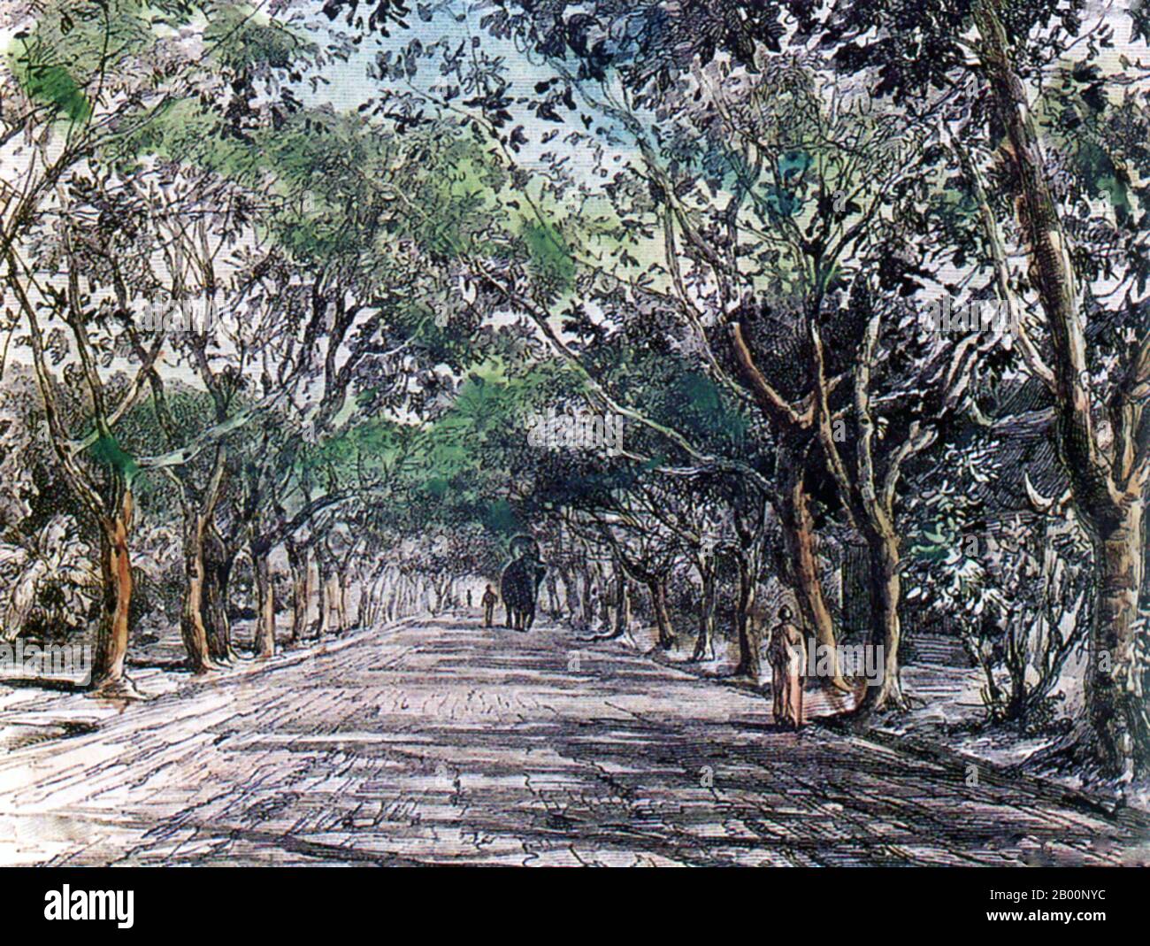 Thailandia: La strada alberata yang (gomma) da Chiang mai a Lamphun nel 1884. Incisione di un artista sconosciuto, c. 1882-1884. Paul Neis ha intrapreso una missione scientifica a Cochinchina e Laos per conto del ministro francese dell'Istruzione pubblica. Tornò a Bangkok per via di Chiang mai e della Thailandia del nord. La sua missione durò 19 mesi tra il 1882 e il 1884. Foto Stock