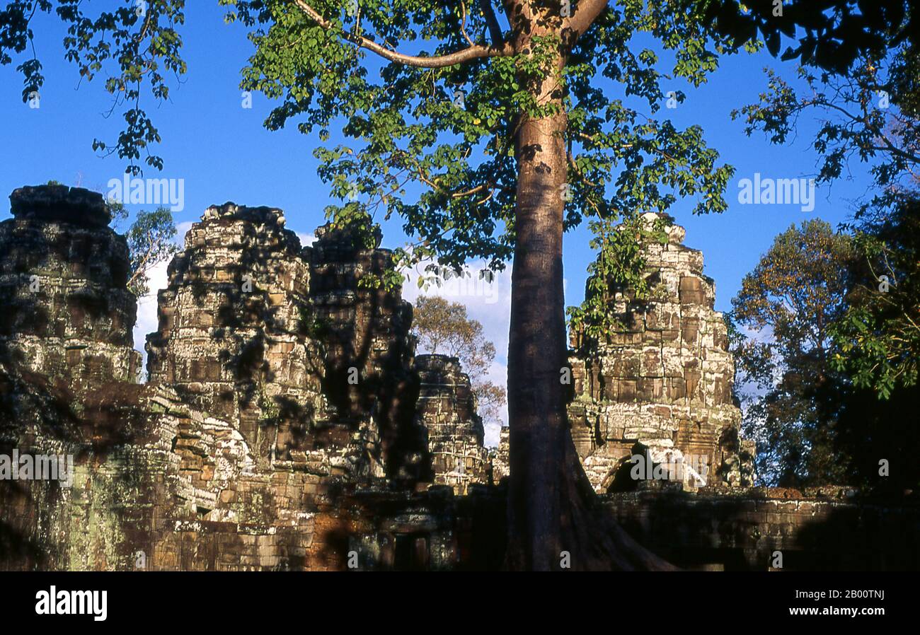 Cambogia: Preah Khan, Angkor. Preah Khan (Tempio della Spada Sacra) è stato costruito nel tardo 12 ° secolo (1191) da Jayavarman VII e si trova appena a nord di Angkor Thom. Il tempio fu costruito sul luogo della vittoria di Jayavarman VII sui Cham invasori nel 1191. Era il centro di un'organizzazione consistente, con quasi 100,000 funzionari e funzionari. Fu un'università buddista alla volta. La divinità primaria del tempio è il boddhisatva Avalokiteshvara sotto forma di padre di Jayavarman. Foto Stock