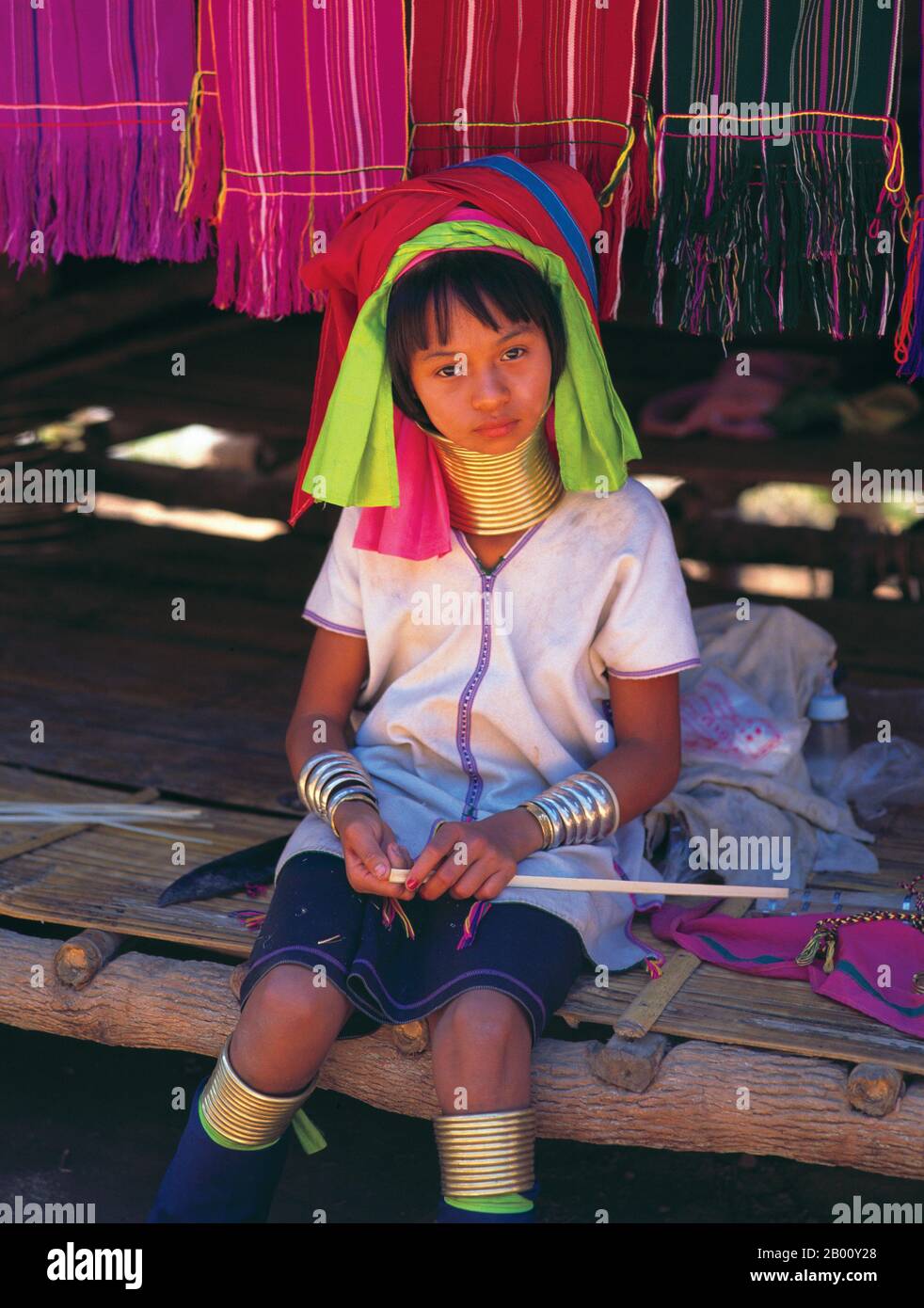 Thailandia: Giovane Padaung (Long Neck Karen) ragazza, villaggio vicino Mae Hong Son. I Padaung o Kayan Lahwi o Long Necked Karen sono un sottogruppo del Kayan, un misto di tribù dei Lawi, tribù dei Kayan e molte altre tribù. I Kayan sono un sottogruppo del popolo Karen Rosso (Karenni), una minoranza etnica tibetana-burman della Birmania (Myanmar). Foto Stock