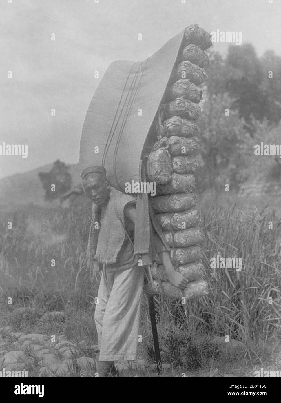 Cina: Tea porter su un sentiero nel Sichuan occidentale, 1928. La Tea Horse Road (Cha ma Dao) era una rete di mulattiere carovane che si snodavano attraverso le montagne di Yunnan, Sichuan e Tibet nella Cina sudoccidentale. A volte è anche indicata come Southern Silk Road e Ancient Tea and Horse Road. Circa mille anni fa, l'antica Via del tè era un collegamento commerciale tra Yunnan, una delle prime regioni produttrici di tè, l'India attraverso la Birmania, il Tibet e la Cina centrale attraverso la provincia del Sichuan. Oltre al tè, le carovane di mule trasportavano il sale. Foto Stock