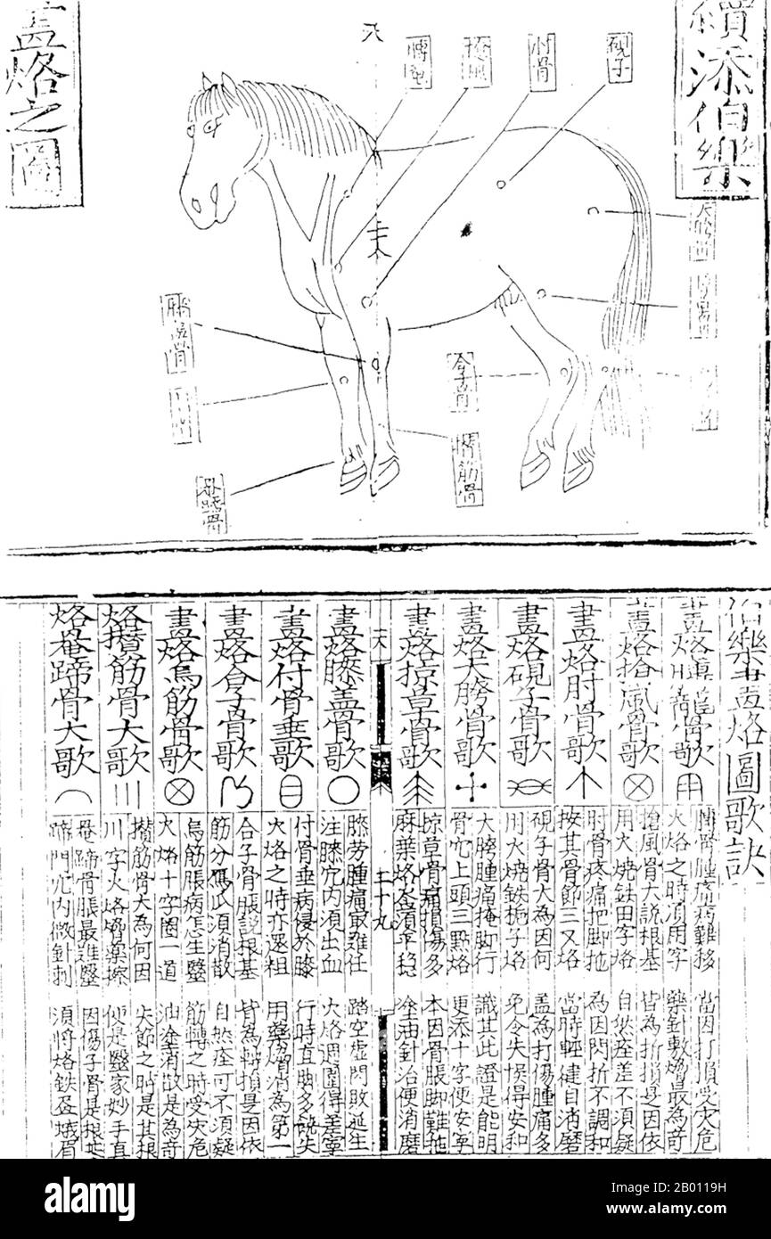 Cina: Un diagramma che mostra i dettagli dell'anatomia equestre, c. 600 BCE. La Tea Horse Road (Cha ma Dao) era una rete di mulattiere carovane che si snodavano attraverso le montagne di Yunnan, Sichuan e Tibet nella Cina sudoccidentale. A volte è anche indicata come Southern Silk Road e Ancient Tea and Horse Road. Circa mille anni fa, l'antica Via del tè era un collegamento commerciale tra Yunnan, una delle prime regioni produttrici di tè, l'India attraverso la Birmania, il Tibet e la Cina centrale attraverso la provincia del Sichuan. Oltre al tè, le carovane di mule trasportavano il sale. Foto Stock