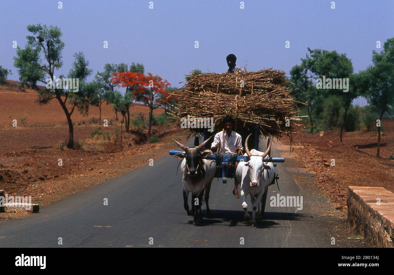 India: Un carrello vicino a Hampi, Karnataka Stato. Hampi è un villaggio del Karnataka, nello stato del Nord. Si trova all'interno delle rovine di Vijayanagara, l'ex capitale dell'Impero Vijayanagara. Antecedente la città di Vijayanagara, continua ad essere un importante centro religioso, che ospita il Tempio di Virupaksha, così come molti altri monumenti appartenenti alla città vecchia. Foto Stock