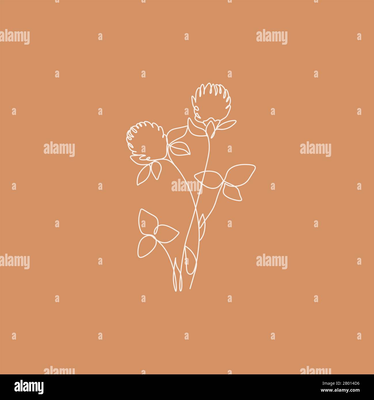 Illustrazione della linea botanica. Logo a una riga. Invito al matrimonio. Fiore in linee. Prote Tulip Rose Magnolia Peony e foglia Foto Stock