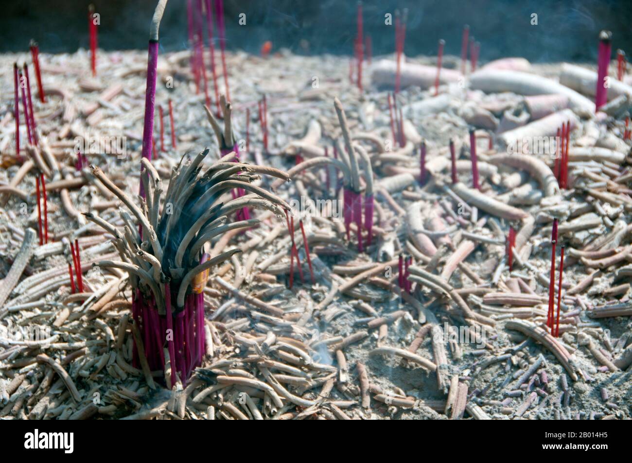 Cina: Incenso brucia nel Qingyang Gong (Tempio di capra Verde), Chengdu, provincia di Sichuan. Qingyang Gong Shi (Green Goat Palace Temple) è il più antico e più grande tempio Daoista nel sud-ovest della Cina. Si trova nella parte occidentale della città di Chengdu. Originariamente costruito nella prima Dinastia Tang (618-907), questo tempio è stato ricostruito e riparato molte volte. Gli edifici esistenti sono stati costruiti per la maggior parte durante la dinastia Qing (1644-1911). Secondo la leggenda, Qing Yang Gong è detto essere il luogo di nascita del fondatore del Taoismo, Lao Tsu / Laozi, ed è dove ha dato il suo primo sermone. Foto Stock