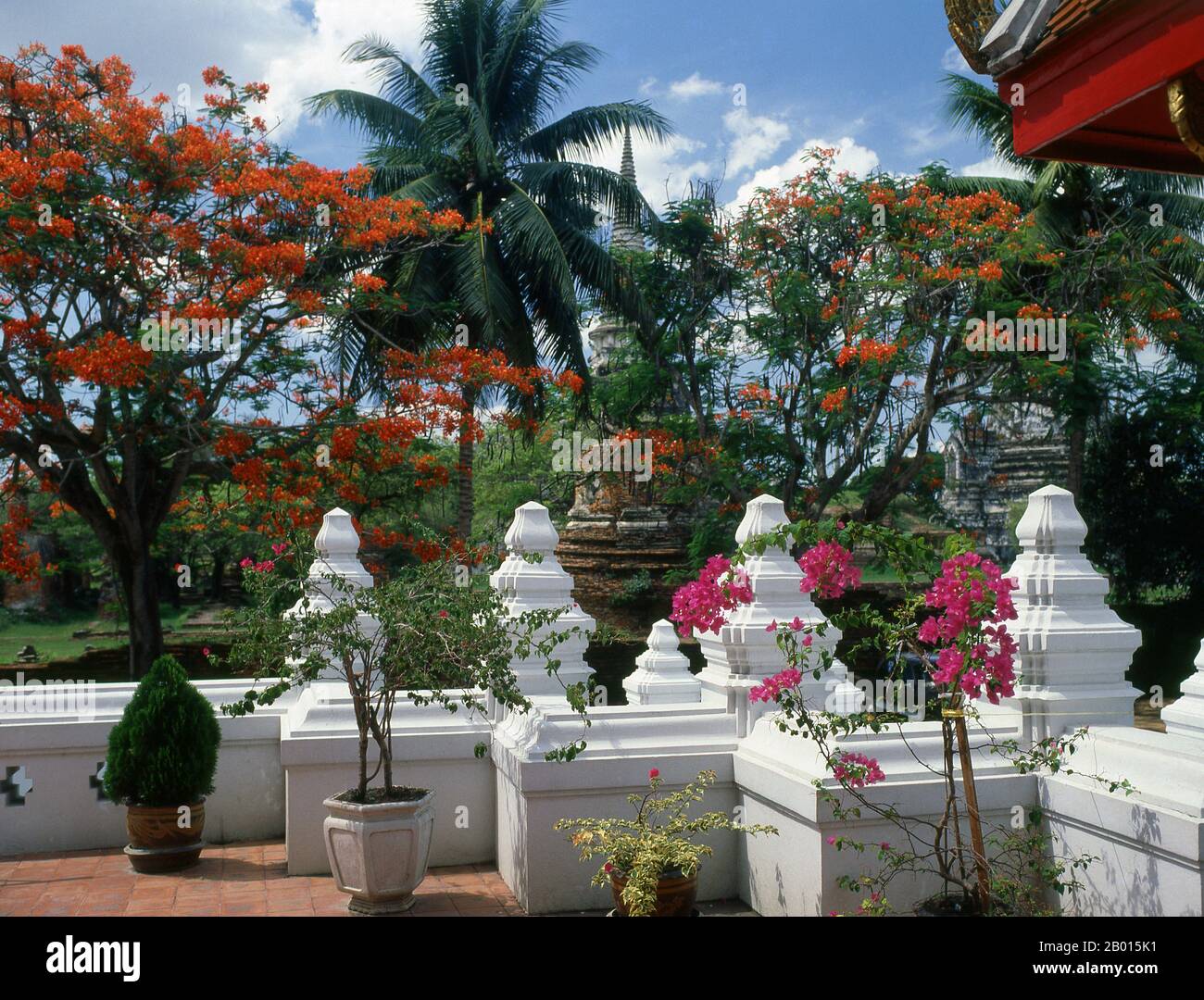 Thailandia: Viharn Mongkol Bopit, Ayutthaya Historical Park. Viharn Mongkol Bopit (Wihaan Mongkhon Bophit) contiene un'immagine di Buddha di bronzo del XV secolo, una delle più grandi della Thailandia. Ayutthaya (Ayudhya)) era un regno siamese che esisteva dal 1351 al 1767. Ayutthaya era amichevole verso i commercianti stranieri, compreso il cinese, vietnamita (Annamese), indiani, giapponesi e persiani, E poi le potenze europee, permettendo loro di creare villaggi fuori dalle mura della città. Nel sedicesimo secolo, è stato descritto dai commercianti stranieri come una delle città più grandi e più ricche nell'est. Foto Stock