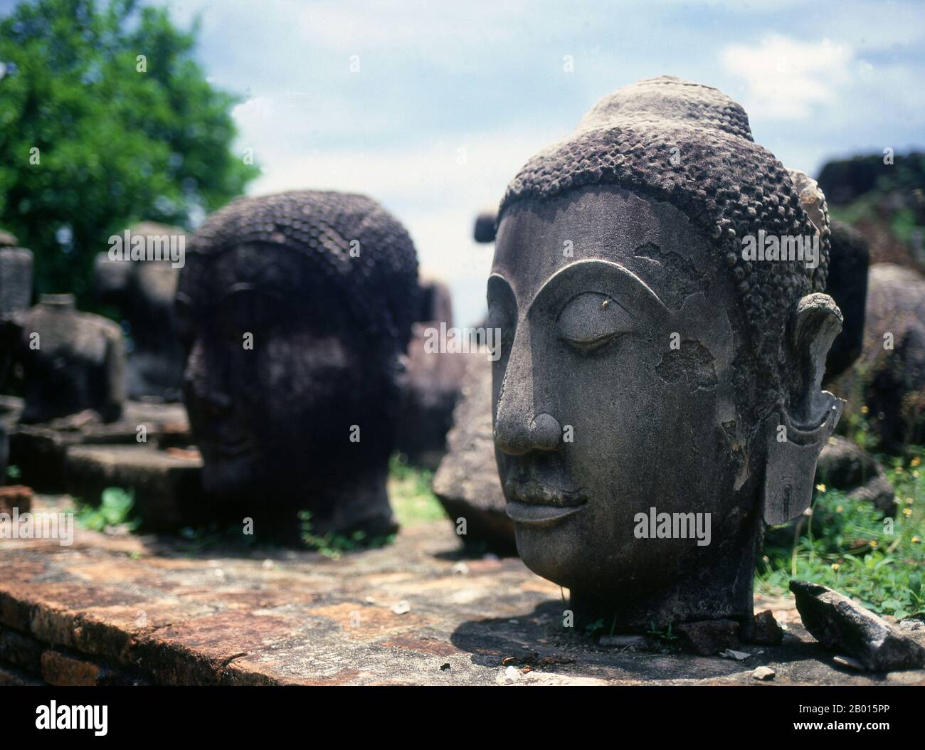 Thailandia: Il Buddha si dirige nel Parco storico di Ayutthaya. Ayutthaya (Ayudhya) era un regno siamese che esisteva dal 1351 al 1767. Ayutthaya era amichevole verso i commercianti stranieri, compreso il cinese, vietnamita (Annamese), indiani, giapponesi e persiani, E poi i portoghesi, spagnoli, olandesi e francesi, permettendo loro di creare villaggi fuori dalle mura della città. Nel sedicesimo secolo, è stato descritto dai commercianti stranieri come una delle città più grandi e più ricche nell'est. La corte del re Narai (1656-1688) aveva forti legami con quella del re Luigi XIV di Francia. Foto Stock