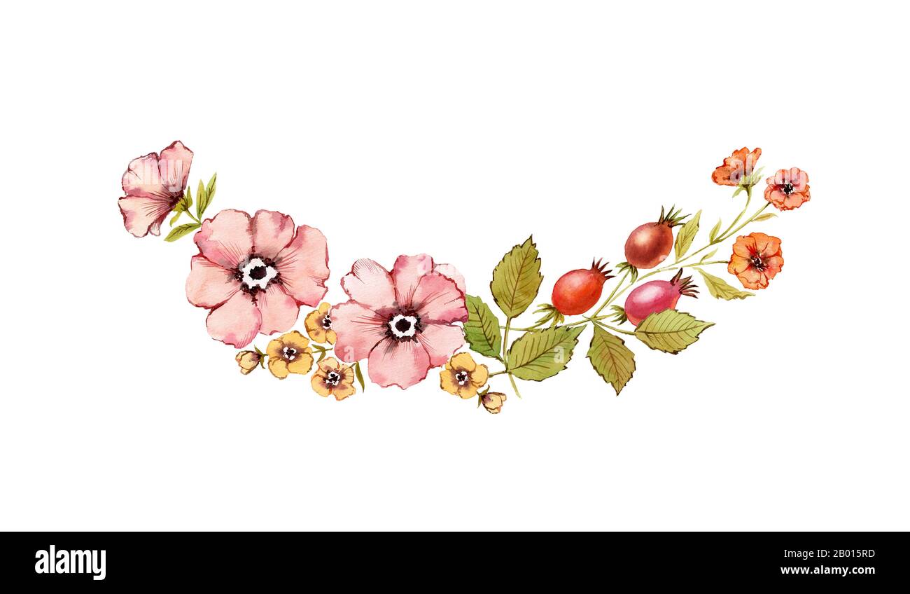 Acquerello floreale. Fiori rustici brughiera con l'anca di rosa, briar, foglie isolate su sfondo bianco. Design naturale dipinto a mano in stile vintage Foto Stock