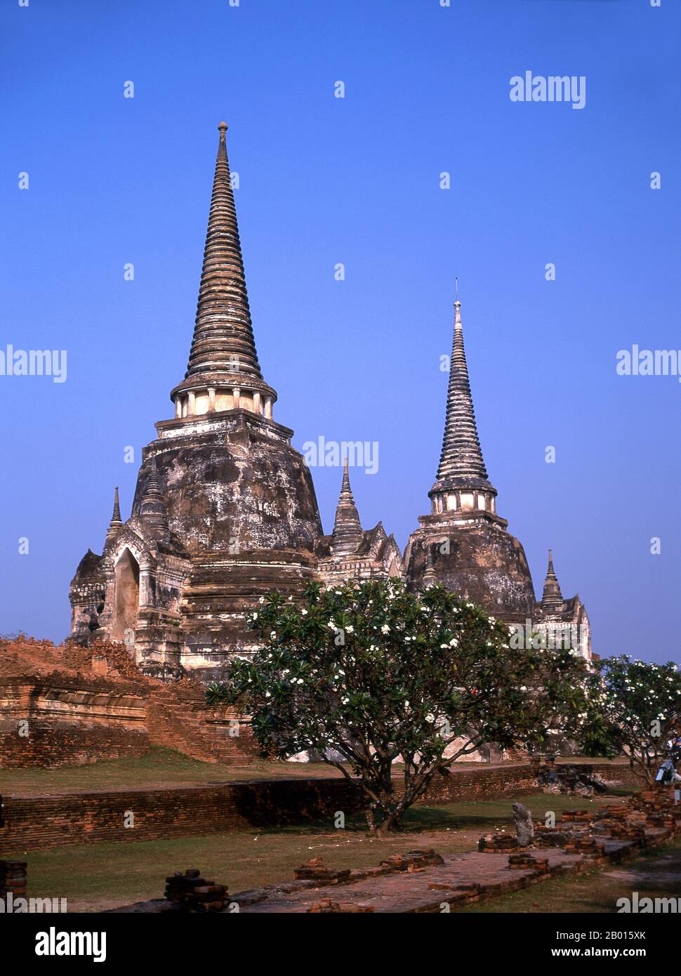 Thailandia: Wat Phra si Sanphet, Ayutthaya Historical Park. Wat Phra si Sanphet fu costruito intorno al 1448 durante il regno di re Borommatrailokanat, noto anche come Somdet Phra Ramesuan Boromma Trailokanat Bopit (1431–1488) che fu il re di Ayutthaya dal 1448 al 1488. Ayutthaya (Ayudhya) era un regno siamese che esisteva dal 1351 al 1767. Ayutthaya era amichevole verso i commercianti stranieri, compreso il cinese, vietnamita (Annamese), indiani, giapponesi e persiani, E poi i portoghesi, spagnoli, olandesi e francesi, permettendo loro di creare villaggi fuori dalle mura della città. Foto Stock