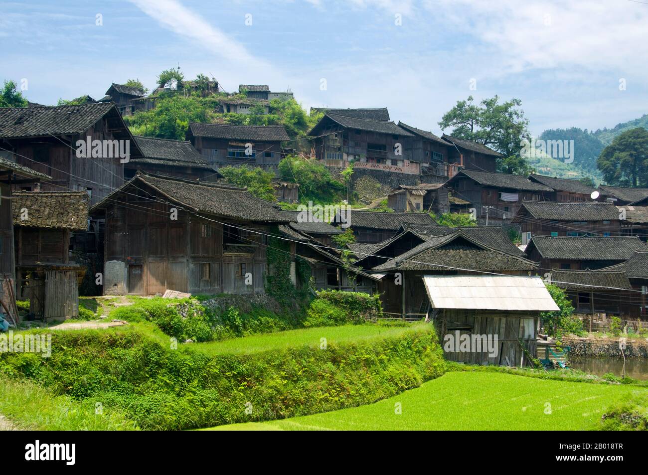 Cina: Datang, un villaggio di Miao a sud-est di Kaili, provincia di Guizhou. I Miao sono un gruppo di persone legate dal punto di vista linguistico e culturale riconosciuto dal governo della Repubblica popolare cinese come uno dei 55 gruppi ufficiali di minoranza. Miao è un termine cinese e non riflette le auto-designazioni dei sottogruppi componenti, che includono (con alcune varianti di ortografia) Hmong, HMU, A HmaO, e Kho (Qho) Xiong. Il Miao vive principalmente nella Cina meridionale, nelle province di Guizhou, Hunan, Yunnan, Sichuan, Guangxi, Hainan, Guangdong e Hubei. Foto Stock