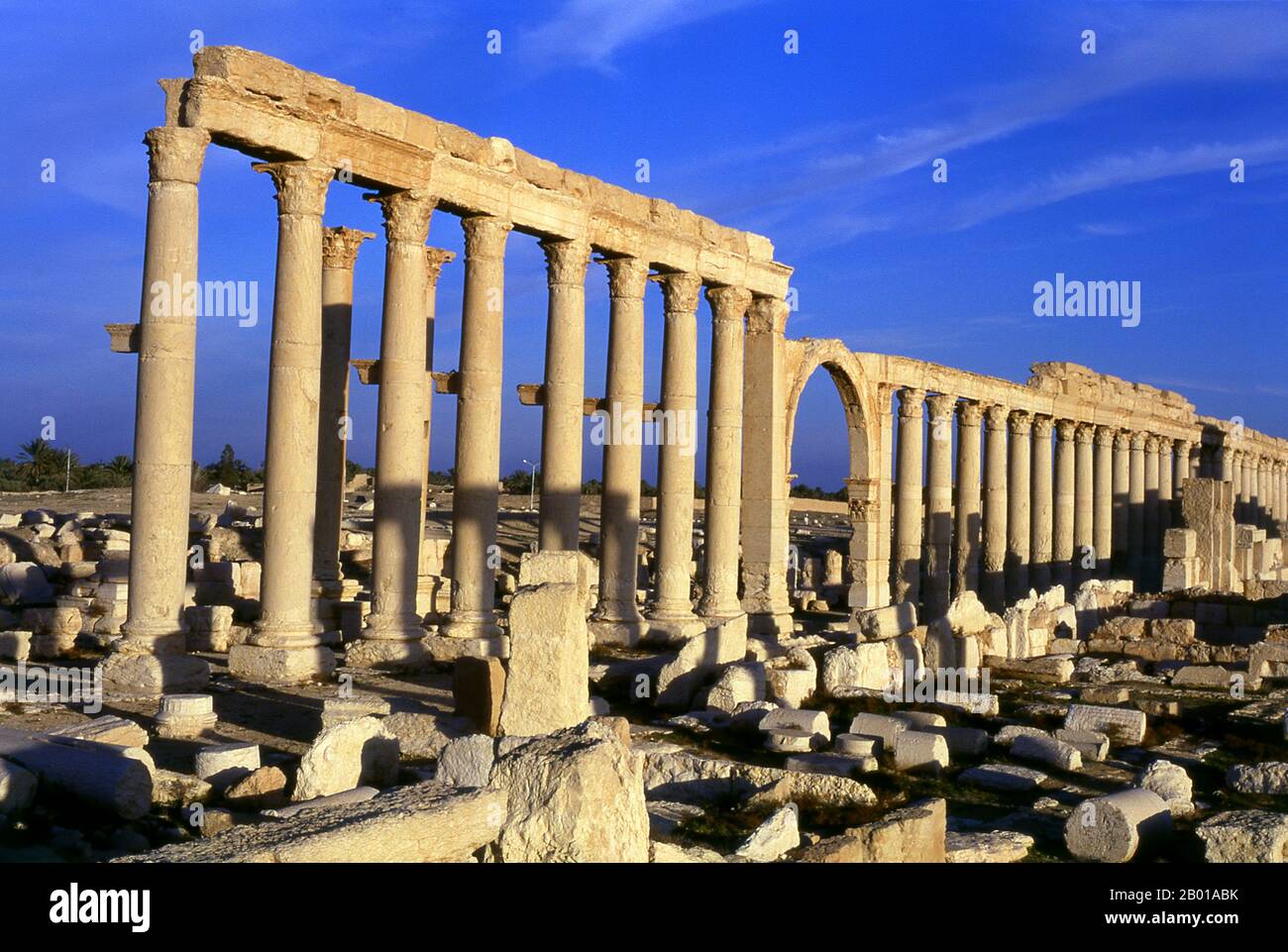 Siria: Parte del Grande colonnato, Palmyra. Palmyra era un'antica città in Siria. Era una città importante nella Siria centrale, situata in un'oasi 215 km a nord-est di Damasco e 180 km a sud-ovest dell'Eufrate a Deir ez-Zor. Era stata a lungo una città carovana vitale per i viaggiatori che attraversavano il deserto siriano ed era conosciuta come la sposa del deserto. Il primo riferimento documentato alla città con il suo nome semitico Tadmor, Tadmur o Tudmur (che significa 'la città che si respinge' in Amorite e 'la città indomitabile' in Aramaico) è registrato in compresse babilonesi trovati in Mari. Foto Stock