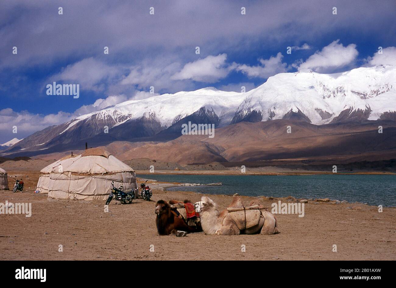Cina: Cammelli Bactrian al Lago Karakul sulla Karakoram Highway, Xinjiang. Il cammello bactriano (Camelus bactrianus) è un grande ungulato a punta pari originario delle steppe dell'Asia centrale. Attualmente è limitato in natura alle regioni remote dei deserti di Gobi e Taklimakan della Mongolia e Xinjiang, Cina. Il cammello bactrio ha due bacchette sul dorso, in contrasto con il cammello monobumpato di Dromedario. La Zhongba Gonglu o Karakoram Highway è una meraviglia ingegneristica che è stata aperta nel 1986 e rimane la strada asfaltata più alta del mondo, che collega Cina e Pakistan. Foto Stock