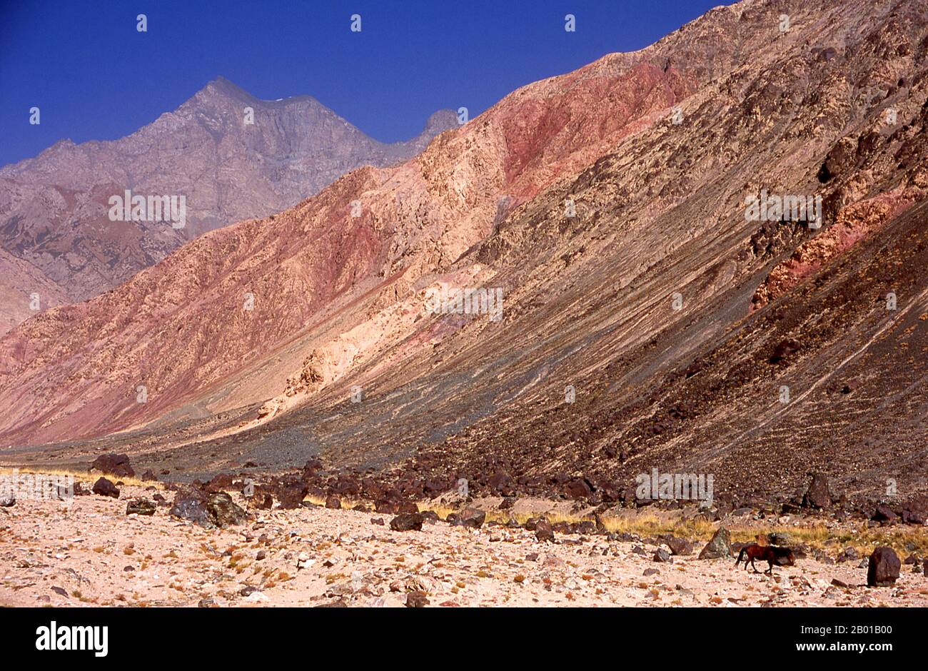 Cina: Un cavallo sulla Karakoram Highway nei Monti Pamir, Xinjiang. I Monti Pamir sono una catena montuosa dell'Asia centrale formata dall'incrocio tra le catene montuose Himalaya, Tian Shan, Karakoram, Kunlun e Hindu Kush. Sono tra le montagne più alte del mondo e fin dall'epoca vittoriana sono state conosciute come il tetto del mondo, una probabile traduzione dal persiano. La Zhongba Gonglu o Karakoram Highway è una meraviglia ingegneristica che è stata aperta nel 1986 e rimane la strada asfaltata più alta del mondo. Collega la Cina e il Pakistan attraverso la catena montuosa del Karakoram Foto Stock