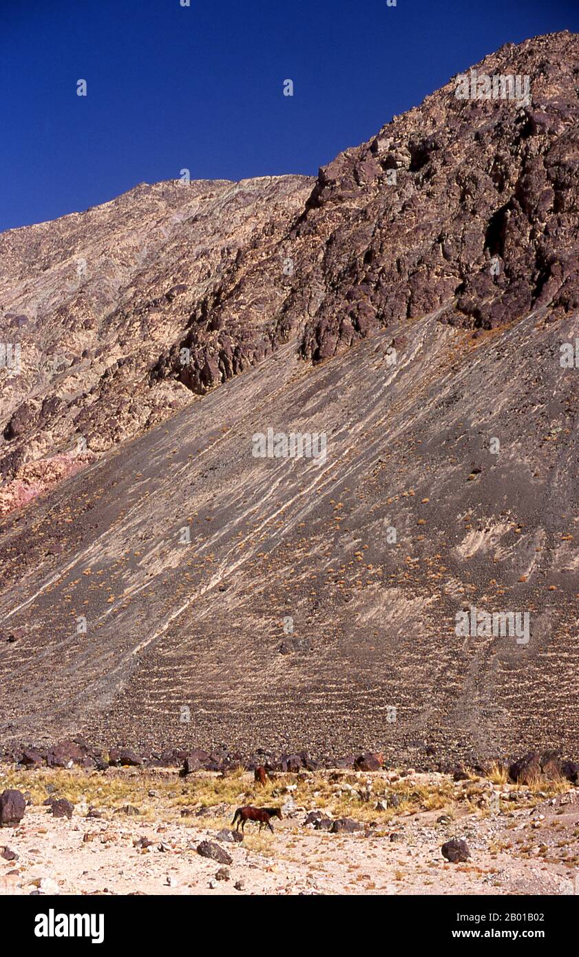 Cina: Un cavallo sulla Karakoram Highway nei Monti Pamir, Xinjiang. I Monti Pamir sono una catena montuosa dell'Asia centrale formata dall'incrocio tra le catene montuose Himalaya, Tian Shan, Karakoram, Kunlun e Hindu Kush. Sono tra le montagne più alte del mondo e fin dall'epoca vittoriana sono state conosciute come il tetto del mondo, una probabile traduzione dal persiano. La Zhongba Gonglu o Karakoram Highway è una meraviglia ingegneristica che è stata aperta nel 1986 e rimane la strada asfaltata più alta del mondo. Collega la Cina e il Pakistan attraverso la catena montuosa del Karakoram Foto Stock