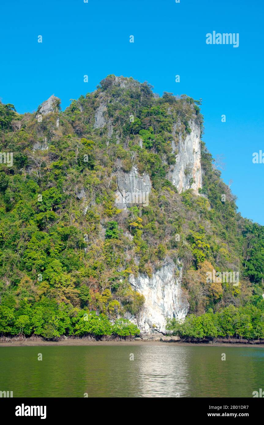 Thailandia: Parco Nazionale di Ao Phang Nga (Baia di Phangnga), Provincia di Phang Nga. Inaugurato nel 1981, il Parco Nazionale di Ao Phang Nga copre un'area di circa 400 kmq ed è composto principalmente da rocce carsiche e isole, torreggianti scogliere e le acque cristalline del Mare di Phuket. Anche se ospita un'ampia varietà di creature marine e costiere, tra cui il monitor d'acqua lungo due metri, la maggior parte delle persone visita il parco per ammirare e navigare attraverso e intorno alle numerose torri carsiche incombenti. Foto Stock