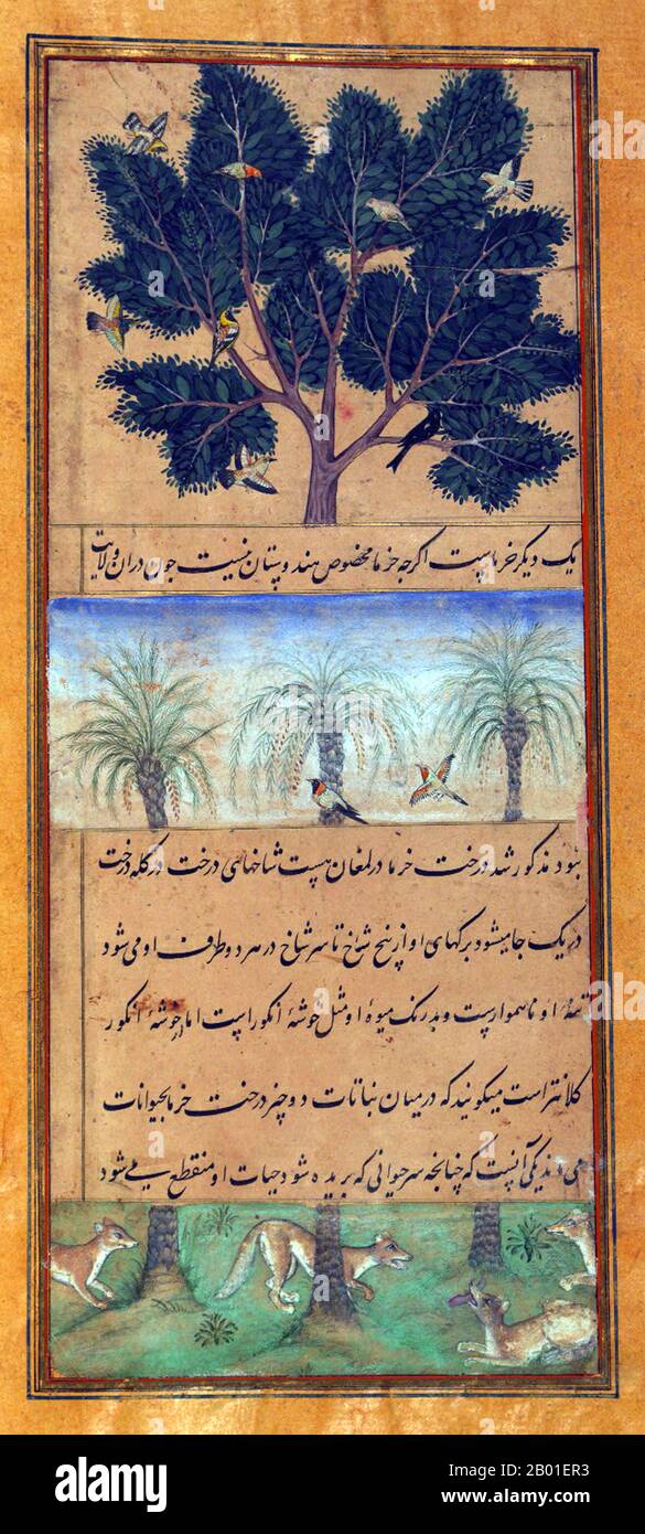 India: Animali di Hindustan - uccelli, volpi e palme. Dipinto in miniatura del Baburnama, fine 16th ° secolo. Bāburnāma (letteralmente: 'Libro di Babur' o 'lettere di Babur'; altrimenti conosciuto come Tuzk-e Babri) è il nome dato alle memorie di Ẓahīr ud-Dīn Muḥammad Bābur (1483-1530), fondatore dell'Impero Mughal e bisnonno di Timur. Si tratta di un'opera autobiografica, originariamente scritta in lingua Chagatai, nota a Babur come 'Turki' (che significa Turkic), la lingua parlata degli Andijan-Timuridi. Foto Stock