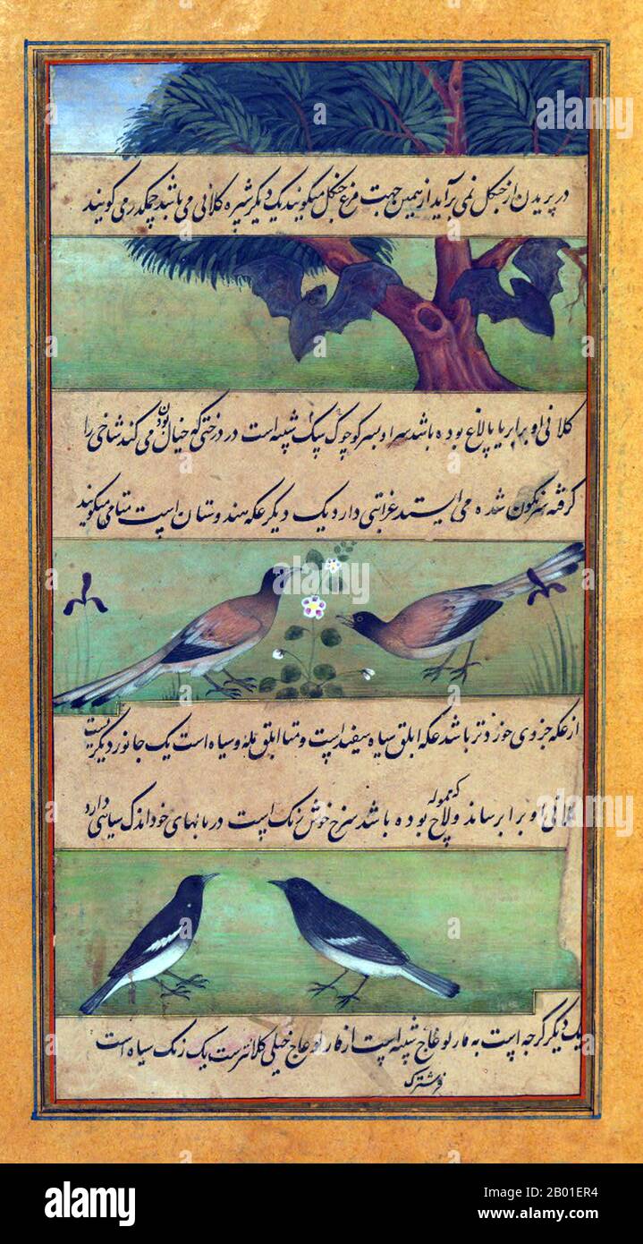 India: Animali di Hindustan - pipistrelli e uccelli. Dipinto in miniatura del Baburnama, fine 16th ° secolo. Bāburnāma (letteralmente: 'Libro di Babur' o 'lettere di Babur'; altrimenti conosciuto come Tuzk-e Babri) è il nome dato alle memorie di Ẓahīr ud-Dīn Muḥammad Bābur (1483-1530), fondatore dell'Impero Mughal e bisnonno di Timur. Si tratta di un'opera autobiografica, originariamente scritta in lingua Chagatai, nota a Babur come 'Turki' (che significa Turkic), la lingua parlata degli Andijan-Timuridi. Foto Stock