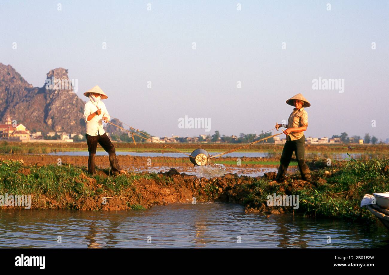 Vietnam: Irrigare campi di riso vicino a Kenh GA, provincia di Ninh Binh. Al villaggio galleggiante di Kenh GA o 'canale di pollo', quasi tutta la comunità trascorrono la vita sull'acqua, e il villaggio è accessibile solo in barca. Il Vietnam del Nord, l'area centrata sul Delta del Fiume Rosso con la sua capitale ad Hanoi, si estende dalla frontiera cinese a nord al Fiume ma nella provincia di Thanh Hoa a sud. Ad ovest, il Truong Son o le Long Mountains e la frontiera del Laos formano il confine; ad est si trova Vinh Bac Bo, il Golfo del Nord. Foto Stock