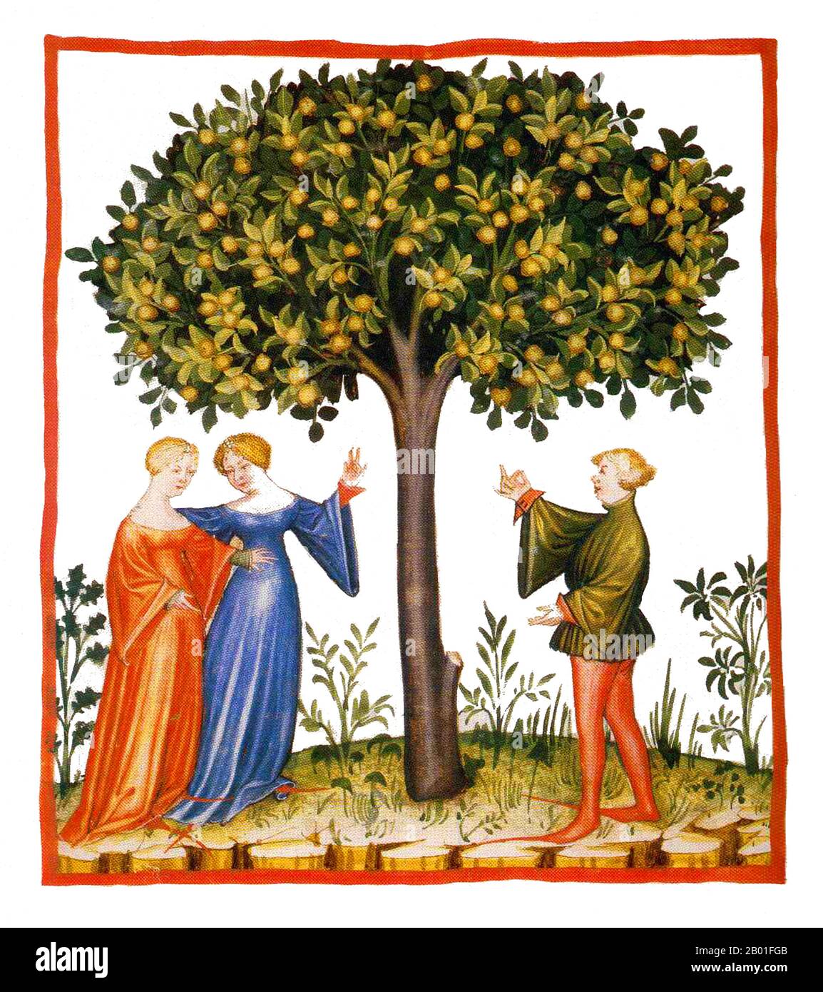 Iraq/Italia: Albicocche. Illustrazione da Taqwim al-sihha di Ibn Butlan o 'mantenimento della Salute' (Baghdad, 11th ° secolo), pubblicato in Italia come il Tacuinum Sanitatis, 14th ° secolo. Il Tacuinum (a volte Taccuinum) Sanitatis è un manuale medievale sulla salute e il benessere, basato sul Taqwim al-sihha تقويم الصحة ('mantenimento della salute'), un trattato medico arabo dell'XI secolo di Ibn Butlan di Baghdad. Ibn Butlân era un medico cristiano nato a Bagdad e morto nel 1068. Foto Stock