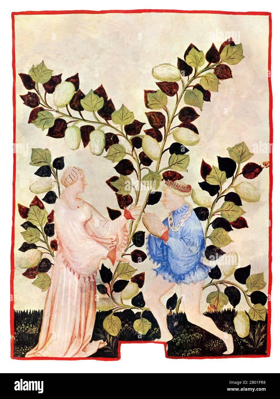 Iraq/Italia: Cocomeri e cetrioli (Cucumeres et Cetruli). Illustrazione da Taqwim al-sihha di Ibn Butlan o 'mantenimento della Salute' (Baghdad, 11th ° secolo), pubblicato in Italia come il Tacuinum Sanitatis, 14th ° secolo. Il Tacuinum (a volte Taccuinum) Sanitatis è un manuale medievale sulla salute e il benessere, basato sul Taqwim al-sihha تقويم الصحة ('mantenimento della salute'), un trattato medico arabo dell'XI secolo di Ibn Butlan di Baghdad. Ibn Butlân era un medico cristiano nato a Bagdad e morto nel 1068. Foto Stock