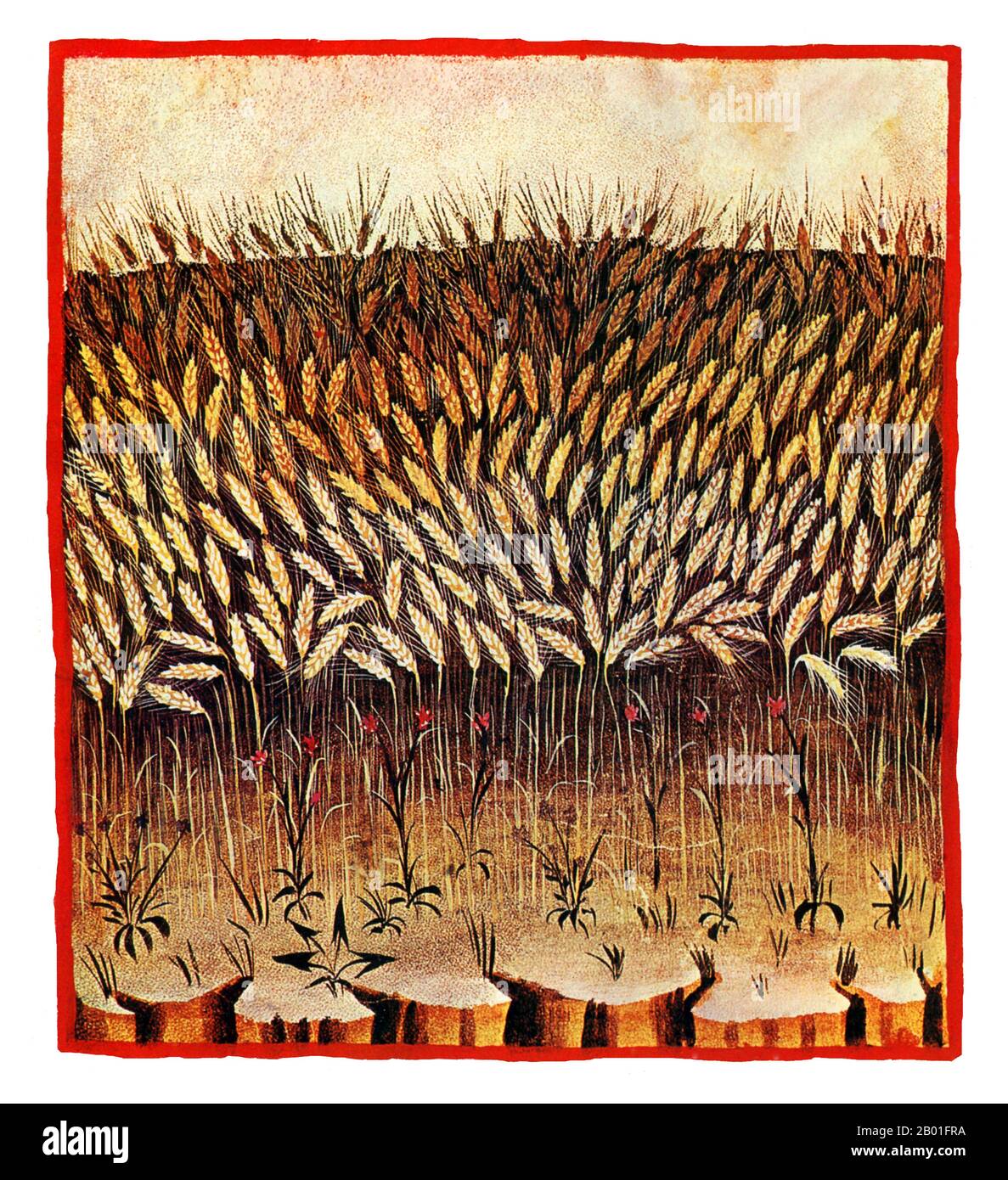 Iraq/Italia: Grano (fermentum). Illustrazione da Taqwim al-sihha di Ibn Butlan o 'mantenimento della Salute' (Baghdad, 11th ° secolo), pubblicato in Italia come il Tacuinum Sanitatis, 14th ° secolo. Il Tacuinum (a volte Taccuinum) Sanitatis è un manuale medievale sulla salute e il benessere, basato sul Taqwim al-sihha تقويم الصحة ('mantenimento della salute'), un trattato medico arabo dell'XI secolo di Ibn Butlan di Baghdad. Ibn Butlân era un medico cristiano nato a Bagdad e morto nel 1068. Foto Stock